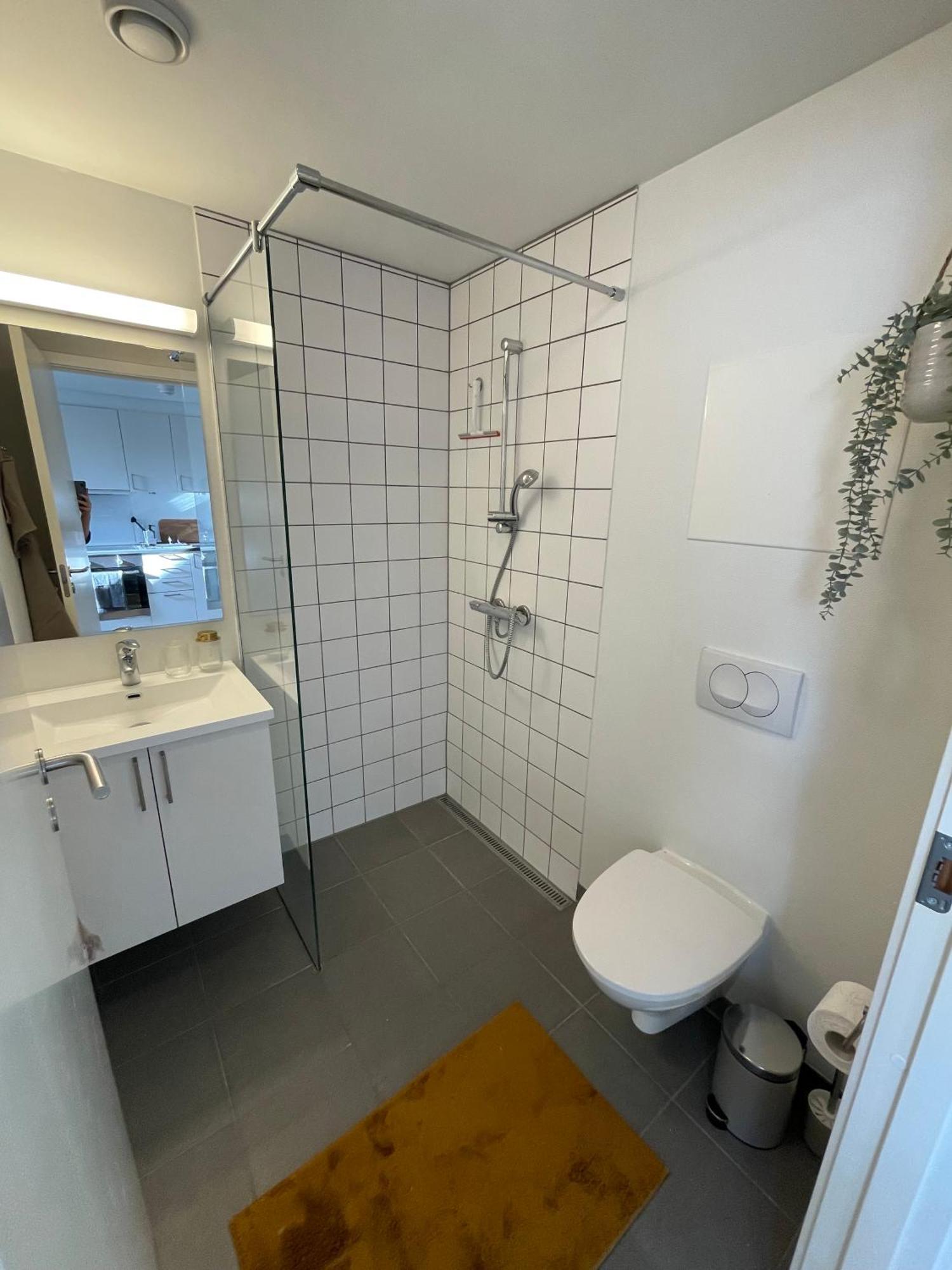 Central Lejlighed I Odense C Apartment ภายนอก รูปภาพ